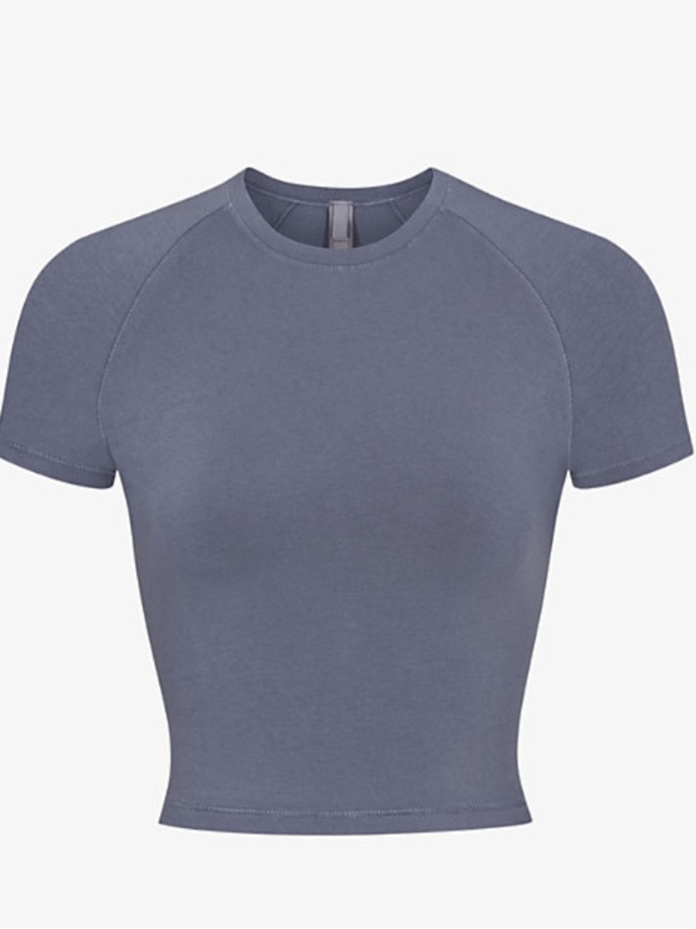 NWOT Skims New Vintage Cropped Raglan T-Shirt
